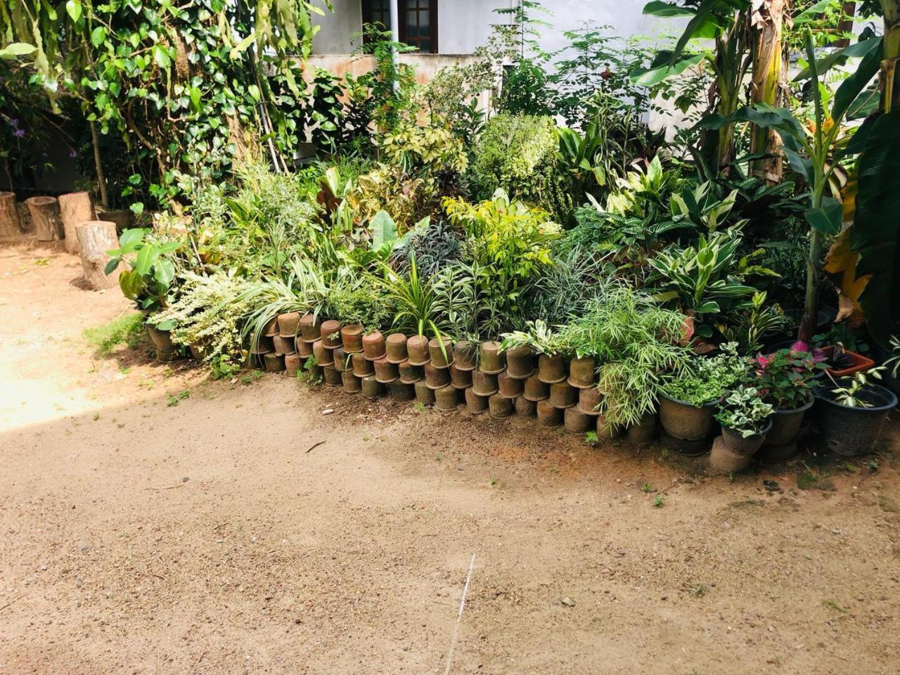 Dhinuka *